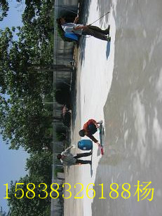 YJ-302混凝土界面处理剂(pic4) YJ-302混凝土界面处理剂(pic4)