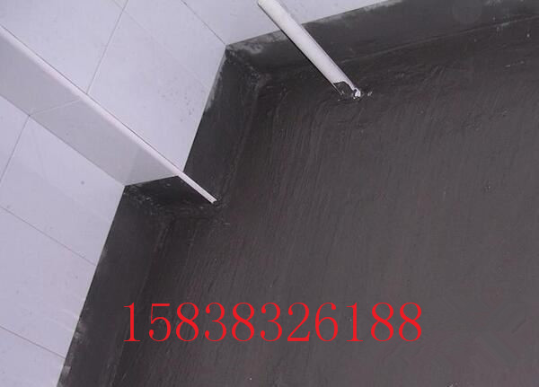 水不漏（又名堵漏王、堵漏灵）(pic2)