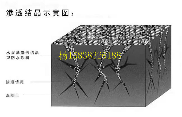 JS水泥基渗透结晶防水涂料(pic3)