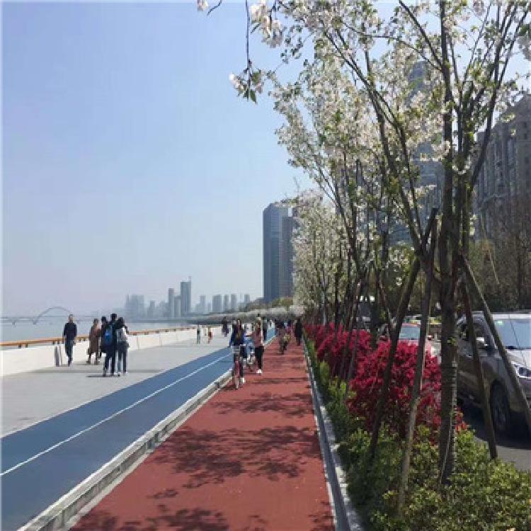 彩色透水砼强固料(pic1) 彩色透水砼强固料(pic1)