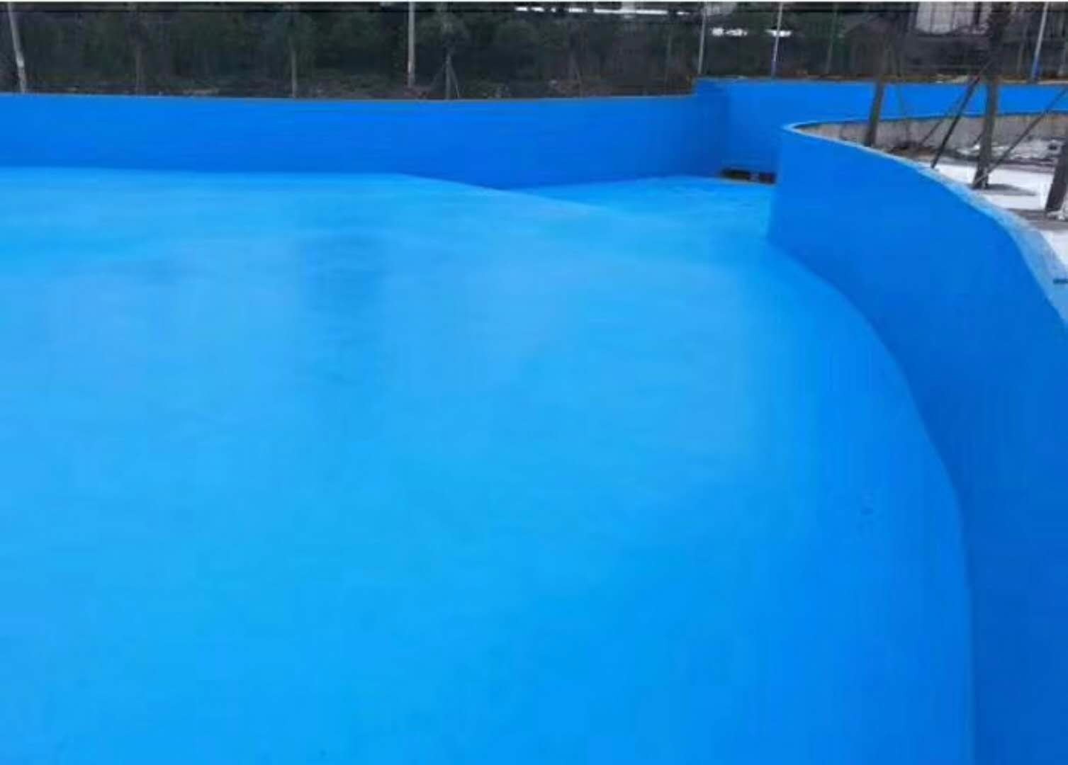 153172507281802.jpg