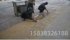 186352174601833.jpg