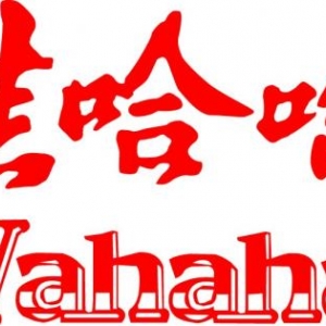 车间地面薄层修补用抢修一号