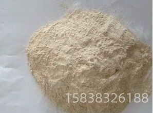 fe307e5f62bbd165.jpg